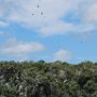 Boat tour to surrounding keys